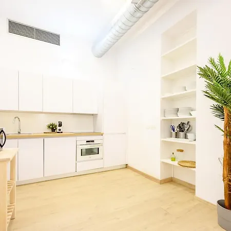 Modern 3 Bedroom, Center With Patio & High Ceilings By 10tosea Apartment